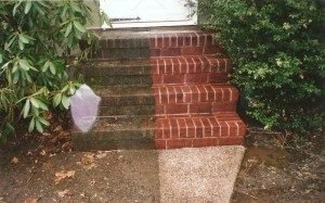 Window cleaning co